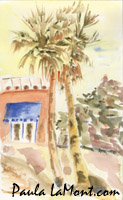Palm Trees